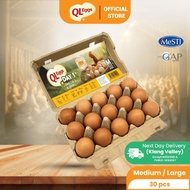 QL Day 1 Egg - Medium / Large (30pcs) Fresh Egg Farm Fresh Egg Telur Segar 鸡蛋