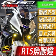 R R15 Goggles v3 V4m R15 v3 R15 v4 R15M