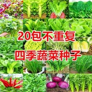 好姐姐丶20款不重復四季蔬菜種子 種籽菜園陽臺盆栽青菜生菜香菜辣椒菠菜蔬菜籽tqxy