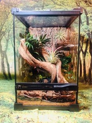 訂做 爬蟲缸 苔蘚微景 水陸缸 生態缸 角蛙 睫角 蜥蜴 守宫 蟹 樹蛙 角蛙 爬蟲 爬寵 飼養箱 魚缸造景 造景設計 桌面擺設 室內裝飾  玻璃缸