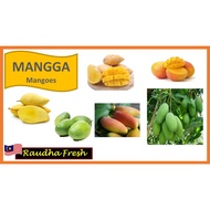 Thai Mango Gold Susu/Green Susu/Lily/R2E2/Rainbow/Chokanan