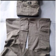 Alpina PDL pants connected