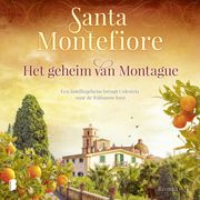 Het geheim van Montague Santa Montefiore