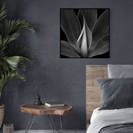 龍舌蘭I - 掛畫/黑白/典雅掛畫/客廳/玄關/時尚/龍舌蘭掛畫/簡約