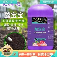 【樂樂屋】酸寶寶硫酸亞鐵花肥喜酸植物黃葉生根土壤調酸專用水溶家用營養液
