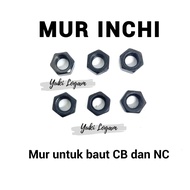 100 Pcs Black NC Nuts UNC/s, umbrella bolts, fence bolts, nuts and bolts