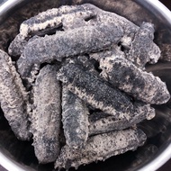 【1条/37g-40g左右】南美黒刺 海参 South Africa Sea Cucumber 1 piece 37g - 40g