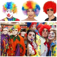 Afro Wig Curly Clown Hair Cosplay Fancy Dress Clown Curly Afro Circus Fancy Dress Hair Wigs Disco Co