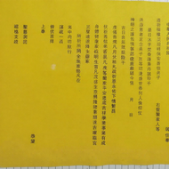 Lucky Use Yellow Paper A3