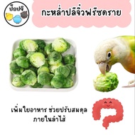 Mini Cabbage (brussel sprouts) Freeze-Dried Snacks Food Supplements For Parrots