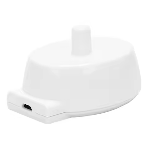 Rechargeable USB/EU/US Plug Travel Charger Dock Electric Toothbrush Toothbrush Charger for Braun Ora