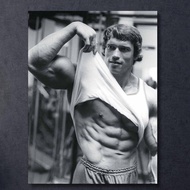 Arnold Schwarzenegger Motivational Canvas Wall Art Gym Decor Man Cave Poster Gift for Him