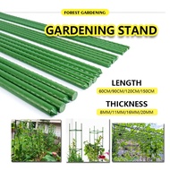 Gardening Bracket - Overmolded Steel Pipe Plant Support Pole for Growth and Climbing Pergola - Essen