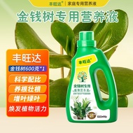 Fengwanda Fertilizer  Money Tree Nutrient Solution600g Green Plant Bonsai Organic Fertilizer Leaf-Watching Plant Univers