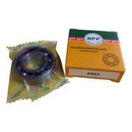 NPP Bearing Bearing Bearing 6003