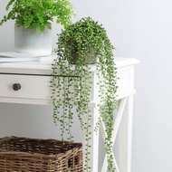 HAZA | DONA SUCCULENT artificial plant hanging leaves pokok jurai gantung daun hiasan rak IKEA FEJKA