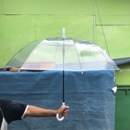 Transparent Umbrella Size 22 Inches