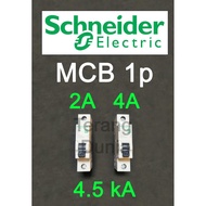 Ready JT MCB Schneider 1p 2a MCB Schneider 1p 4a MCB Schneider 2a MCB Schneider
