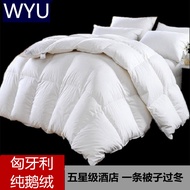 ผ้าห่มขนห่านขาวสำหรับฤดูหนาว95ฮังการีผ้าห่มสำหรับสองคนไส้ผ้าห่มขนเป็ดกันหนาวหนาพิเศษผ้าต่วนทำมือ