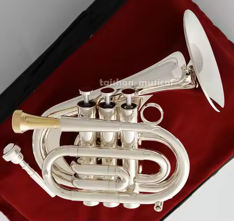 2026 Dizzy's Heavy Customizable Pocket Trumpet & 2 Mouthpieces - Silver Horn