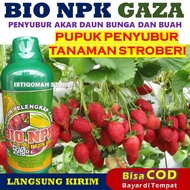 Pupuk Stroberi Biar Berbuah Lebat BIO NPK GAZA 500ML Pupuk NPK Cair untuk Tanaman Stroberi agar Bagus dan Panen Melimpah Pupuk yang Cocok untuk Tanaman Stroberi Pupuk Terbaik Stroberi Strawberry Buah Besar Murah TERLARIS Paling Tokcer Ampuh