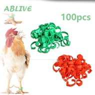Gelang Ayam Unggas 100pcs Cincin Kaki Ayam Bangkok Gelang Kaki Ayam Penanda Ayam Gelang Kaki Ayam Ba