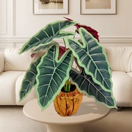 Fake Plants Artificial Potted Plants  Faux Plants Begonia Plants in Pots Real Touch Leaves for Offic