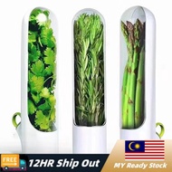 Santino Herb Keeper and Herb Storage Container | Herb Saver Keeps Greens and Vegetables Fresh | Beka