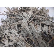 (Wholesale and Retail) White Sage - Whole White Sage Leaves/ Purifying Sage Leaves