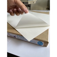 PP STICKER ขนาด A3+ (13"x19") สติ๊กเกอร์เนื้อพลาสติก PP สำหรับงานเครื่องพิมพ์เลเซอร์ดิจิตอล บรรจุ 10