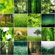 Green Nature Photo Album 4K Wallpaper 🖼️🟢 (A4 Size)