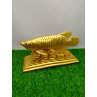 Golden Arowana Fish Statue_Size2