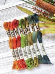 現貨 DMC 繡線 Fall Set Autumn Embroidery Floss Palette art.117 十字繡 刺繡 縫紉 布藝 鉤織 thread crochet cross stit