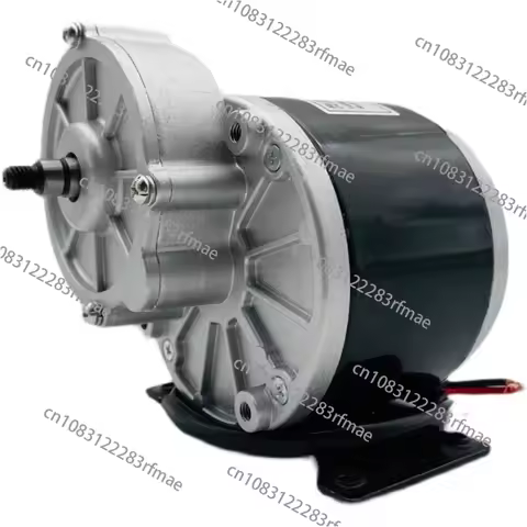 Electric vehicle gear motor 12V24V250W350W with brush modification MY1016Z2