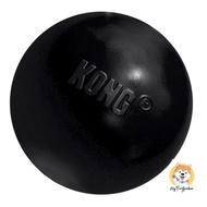 Kong Extreme Ball Dog Toy