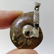 Ammonium pendant Full-Body Ammonite Shell Million-Year-Old Clam Can Be Carried With You. Increase Th
