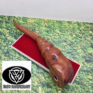 Pipa once kayu stigi asli motif keong jumbo T 339
