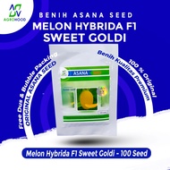 Seeds SWEET GOLDImelon 100 Seeds - ASANA Seed