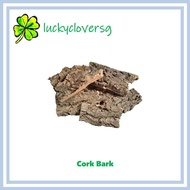 Cork Bark for Isopod / Isopods / Terrarium / Mounting Orchid / Reptiles
