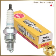 Spark Plug Model CR6HSA Stock No. 2983