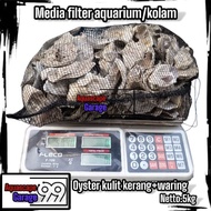 Oyster 5 kg plus waring oyster 5kg/ oyster/ filter media/ oyster shell/ koi filter media/ filter/ ko