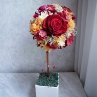 不凋繡球花球樹盆花【橘橙暗紅】開幕禮/新居/名片座/客製化