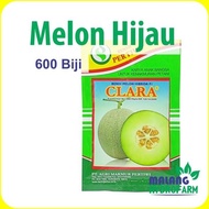 Benih Melon Hijau Clara F1 600 biji Pertiwi dataran rendah buah bibit