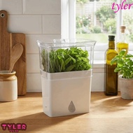 TYLER Fresh Herb Keeper, Crush-Proof Airtight Vegetable Keeper, Practical Large Capacity Plastic wit