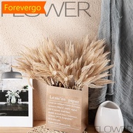 【Forever】 Rabbit Tail Grass Artificial Flowers DIY Craft Bouquet Wheat Ear Flower Decoration Home Wedding Party Decor I6M6