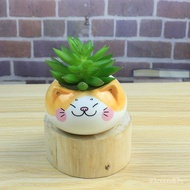 🚓Wholesale Ceramic Succulent Flowerpot Succulent bonsai Creative Cartoon Cat Succulent Flower Pot7511