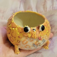 Holy Spirit手作 黃金角蛙小陶盆 傻蛙滴卡 手捏陶器 多肉小盆器