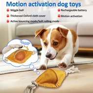 Interactive Dog Balls with Motion Activated, Wicked Ball Squeaky Dog Toy Oxford Bag Keep Dogs Busy (