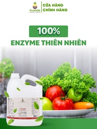 Bộ Sưu Tập Can Fuwa3E - Dung Dịch Rửa Chén/ Rửa Tay/ Ngâm Thực Phẩm Kháng Khuẩn Hypoallergenic 3.8L