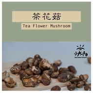 【200g】Tea Flower Dried Mushroom | 茶花菇